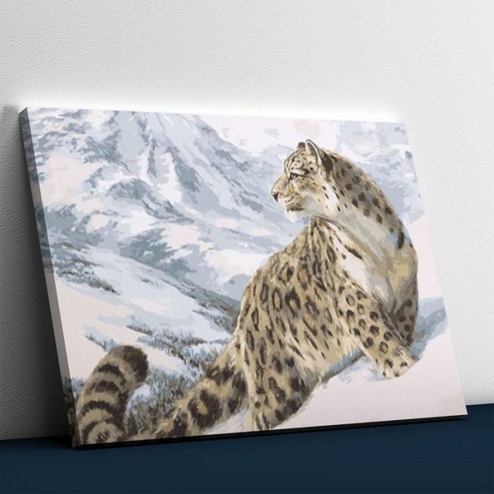 211912.jpg Schneeleopard schaut Sie an